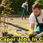 Landscaper Jobs In Canada