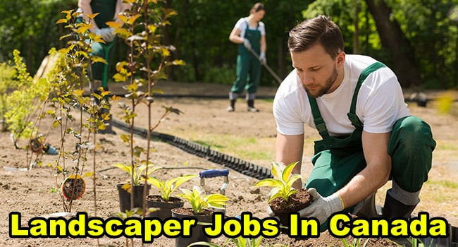 Landscaper Jobs In Canada