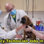 Veterinary technician Jobs in Canada