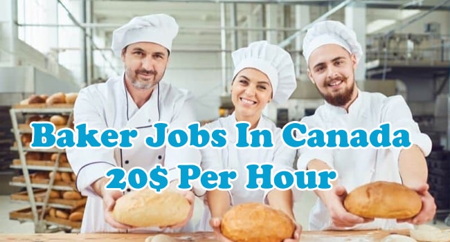 Baker Jobs In Canada 20$ Per Hour